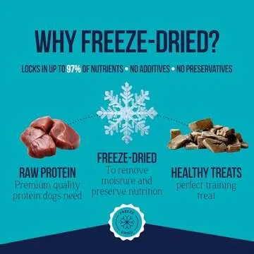 Stewart Single Ingredient Freeze Dried Raw Dog Treats, Beef Liver, 2 Ounce Resealable Pouch, Training Treats or Meal Topper Dogs, High Protein, Grain-Free, Gluten-Free