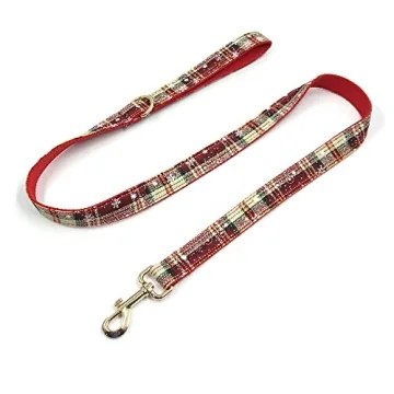 Personalized Dog Collar with Name Engraved for Dogs