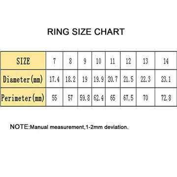 CARTER PAUL Men's Stainless Steel Black Onyx Gold Ring Europe and America Style, Size 7