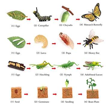 Volnau Animal Figurines Toys 16PCS Life Cycle Set Plant Locust Butterfly Caterpillars Bee Animal Figures for Toddlers Kids Decorations Preschool Educational Prop