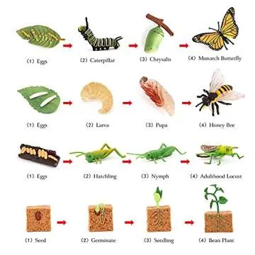 Volnau Animal Figurines Toys 16PCS Life Cycle Set Plant Locust Butterfly Caterpillars Bee Animal Figures for Toddlers Kids Decorations Preschool Educational Prop
