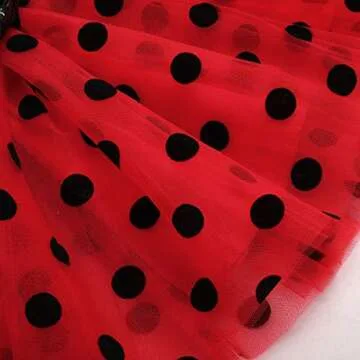 It’s My 1st/2nd Birthday Outfit Toddler Baby Girl ONE Party Tutu Dress for Kids Halloween Pageant Half/First Onesie Crown Infant Skirt Sets for Photo Props Costume Age Ladybug-Two 2Y