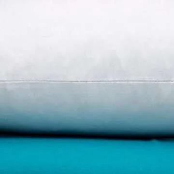 Warmwithann Set of 2, Cotton Fabric Square Pillow Inserts, Down and Feather Decorative Throw Pillows Inserts. 18"x18" Inches