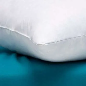 Warmwithann Set of 2, Cotton Fabric Square Pillow Inserts, Down and Feather Decorative Throw Pillows Inserts. 18"x18" Inches