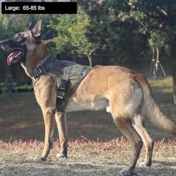 ICEFANG Tactical Dog Harness,Large Size, 2X Metal Buckle,Working Dog MOLLE Vest with Handle,No Pulling Front Leash Clip,Hook and Loop Panel