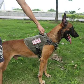 ICEFANG Tactical Dog Harness with No-Pull Design for All Breeds
