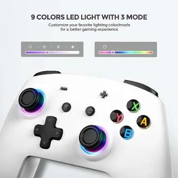 ECHTPower Switch Pro Controller: LED Lights, Macro Buttons, Dual Vibration, Ergonomic