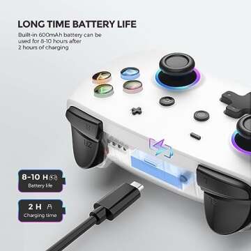 ECHTPower Switch Pro Controller, Wireless Switch Controllers with LED Light/Macro Buttons, Switch Turbo Controller with Dual Vibration/6 Axis Gyro, Pro Controllers for Switch/Lite/OLED