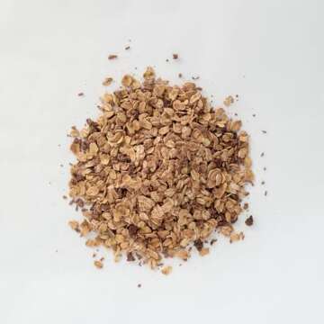 OATH Crunchy Dark Chocolate Overnight Oats - Gluten Free, Non-GMO, Vegan, Kosher 11.6 OZ (Pack of 1)