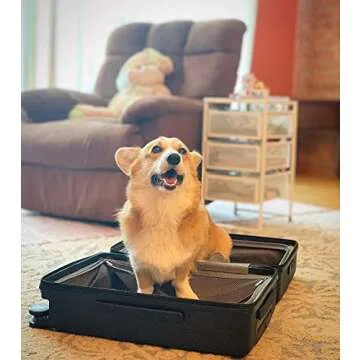 LEVEL8 Elegance 20" & 24" Hardshell Luggage Set - Black