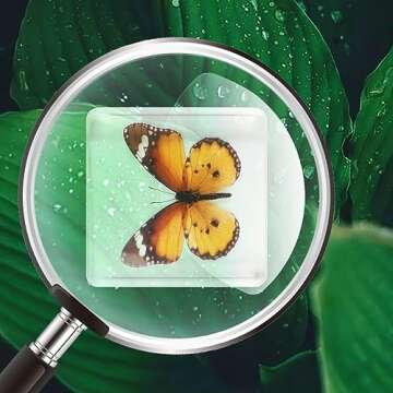 9 PCS Insect in Resin Decorative Specimens for Kids