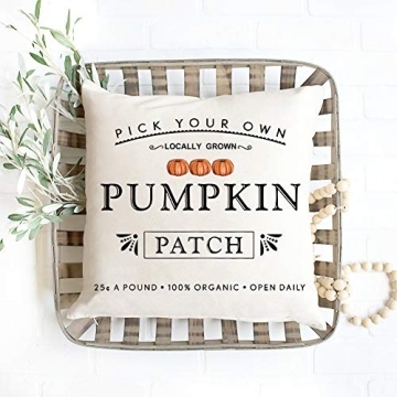 Kithomer Fall Pumpkin Patch Pillow Covers 18x18