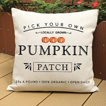 Kithomer Fall Pumpkin Patch Pillow Covers 18x18