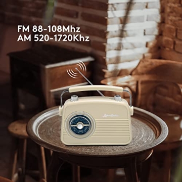 ByronStatics Portable Vintage Radio Best for Music Lovers