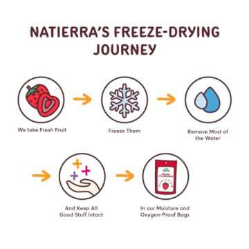 NATIERRA Premium Freeze-Dried Strawberries | Non-GMO & Vegan | 0.7 Ounce (Pack of 4)