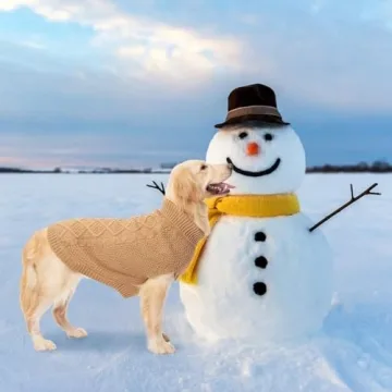 Mihachi Turtleneck Dog Sweater for Winter Warmth and Style