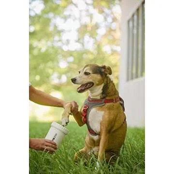 Dexas MudBuster Portable Dog Paw Cleaner, Medium, Bright White Special Edition, Premium Pet Supplies and Accessories