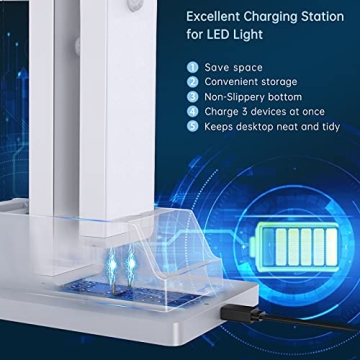 Lightbiz LED Closet Light with Charging Station