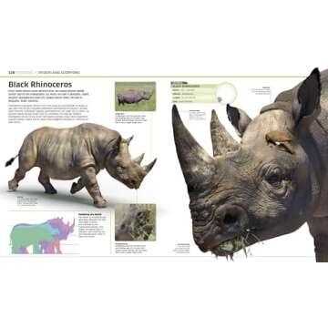 Animal! (DK Knowledge Encyclopedias)