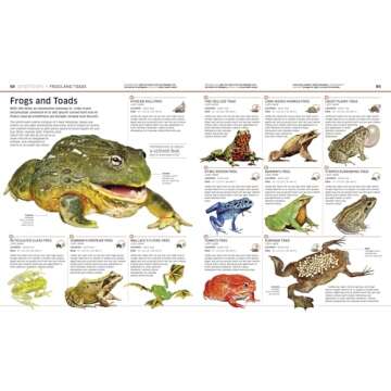 Animal! (DK Knowledge Encyclopedias)