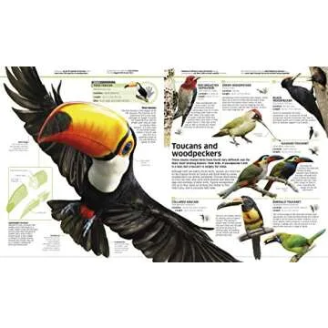 Animal! (DK Knowledge Encyclopedias)