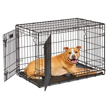 MidWest Homes for Pets Dog Crate Life Stages 36' Double Door Folding Metal Dog Crate | Divider Panel...