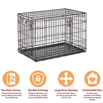 MidWest Life Stages 36' Double Door Folding Dog Crate