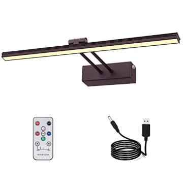 FUNCHDAY 20" Battery Picture Light with Remote Control