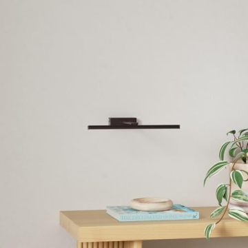 FUNCHDAY 20" Battery Picture Light with Remote Control