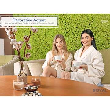 Buy Royal Imports 5LBS River Rocks for Home Decor