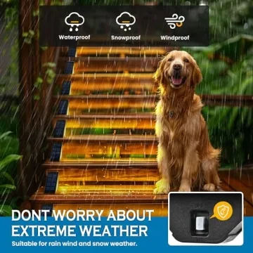 SOLPEX Solar Step Lights Illuminate Your Outdoor Spaces