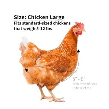 Adjustable Chicken Diapers - Comfortable and Eco-friendly