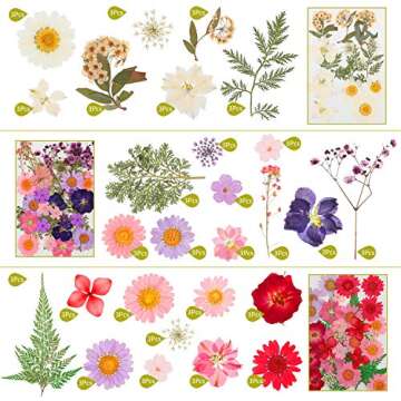 96 Pieces Assorted Dried Flowers Leaves Real Natural Dried Flowers Colorful Pressed Flowers Daisies Multiple DIY Dry Flowers for DIY Resin Jewelry Crafts Nail Floral Decors