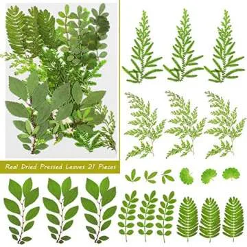 96 Pieces Assorted Dried Flowers Leaves Real Natural Dried Flowers Colorful Pressed Flowers Daisies Multiple DIY Dry Flowers for DIY Resin Jewelry Crafts Nail Floral Decors