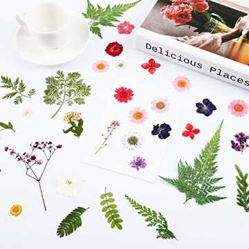 96 Pieces Assorted Dried Flowers Leaves Real Natural Dried Flowers Colorful Pressed Flowers Daisies Multiple DIY Dry Flowers for DIY Resin Jewelry Crafts Nail Floral Decors