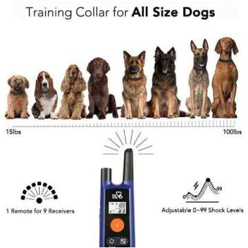 DOG CARE Dog Training Collar with 1800 Feet Range