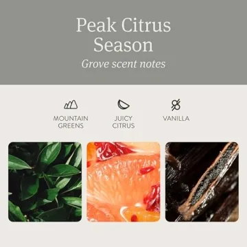 Drift Car Air Freshener with Clean Ingredients and Luxury Scent