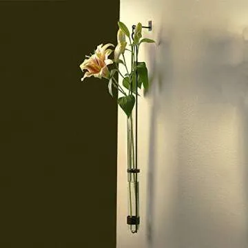 Couronne Florence Hanger Eco-Friendly Wall Hook 31" Clear