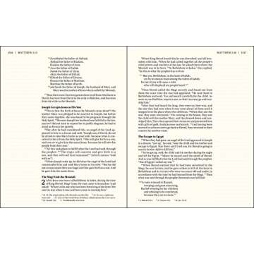 NIV Journal the Word Bible Large Print in Brown Leather