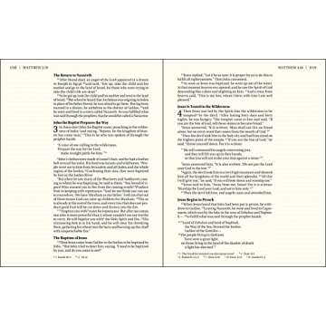 NIV Journal the Word Bible Large Print in Brown Leather