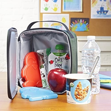 Fit & Fresh Coolers Kids Lunch Box Ice Packs Set of 4