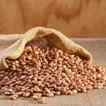 Augason Farms Pinto Beans 4-Gallon Pail, Emergency Food Supply, Everyday Meals, 253 Servings