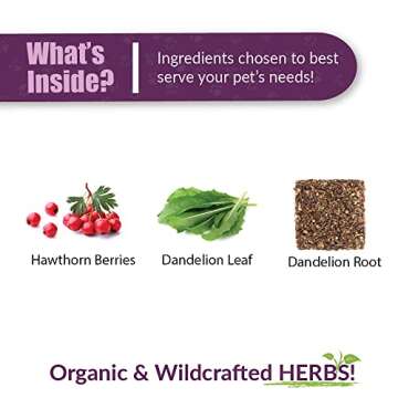 Amber NaturalZ Hawthorn and Dandelion Herbal Supplement for Dogs, Cats, Birds, Guinea Pigs, and Rabbits | Pet Herbal Supplement for Heart Care | 1 Fluid Ounce Glass Bottle | Manufactured in The USA