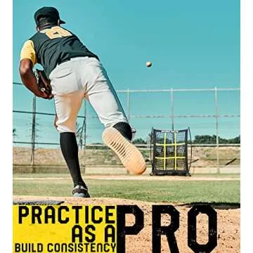 JAPER BEES Pitching Net for Youth and Adults - 9 Hole Training Equipment