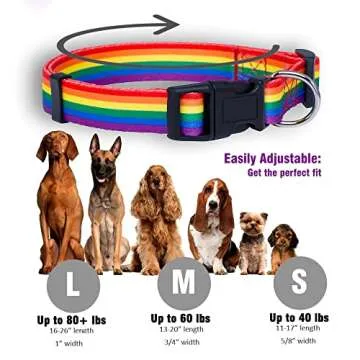 Native Pup Rainbow Flag Dog Collar for All Dogs
