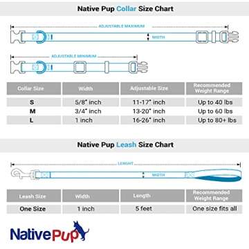 Native Pup Rainbow Flag Dog Collar for All Dogs