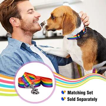 Native Pup Rainbow Flag Dog Collar for All Dogs