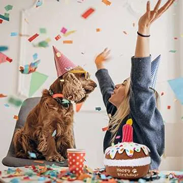 Lilfrd Dog Cake Toy - Fun Birthday Gifts for Pups