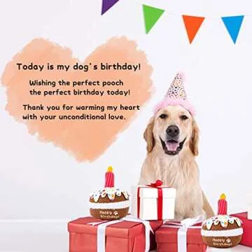 Lilfrd Dog Cake Toy - Fun Birthday Gifts for Pups
