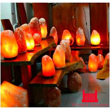 Windsor Seasons Hand Crafted Natural Large 9-Inch Crystal Himalayan Salt Lamp with Neem Wood Base, 6-Feet Cord, Dimmer Switch and Bulb